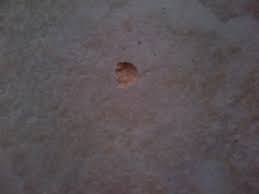 Our konig hard surface repair system allows us to colour match to your chipped tile with a hard wearing repair and finish. Best Way To Fix Small Chip In Ceramic Tile Doityourself Com Community Forums