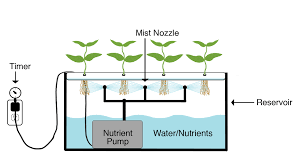 Aeroponics Grow Systems