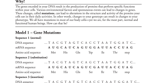 Replication of dna, then transcription into enzymes. Genetic Mutations Pogil Answer Key Quizzma