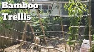 But i wanted a trellis that could prop up a whole row of peas, beans or cucumbers. Build A Simple Bamboo Trellis Youtube