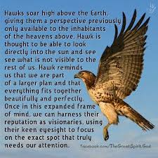 Meaning Of Hawk Hawk Spirit Animal Animal Totem Spirit Guides Animal Spirit Guides