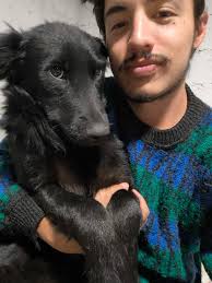 Perrito perdido en solanda si alguien lo reconoce llamar al 0998654621  ayudalo a volver a casa