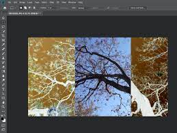 Be kind and respectful, give credit to the original source of content, and search for duplicates before posting. How To Invert Colors Of An Image In Photoshop In 3 Steps
