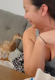 My co-worker has been getting aggressive if I don’t share my food. 😂she’s  so BOSSY. I should chat with HR about this hostile work environment  CatsandBoots❤️