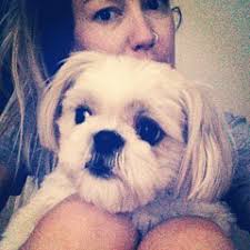 Kate Chivers Art for Sale