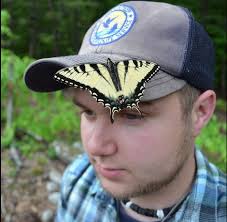 BCAS/Harold Feinberg Conservation Award Winners Announced!