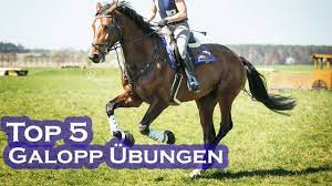 Developing or progressing at an accelerated rate: Top 5 Ubungen Fur Einen Besseren Galopp Youtube