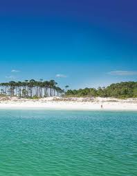 MEMBERSHIP DIRECTORY & BUYERS' GUIDE