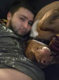 Lost silver and white cat in Fayetteville Arkansas