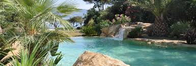 Piscine Naturelle Et Les Plantes Epuratrices A Utiliser