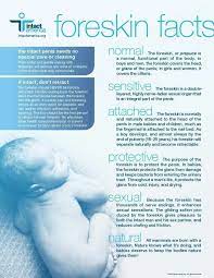 10 Links For Those Researching Infant Circumcision Circumcision Circumcision Facts Circumcision Care