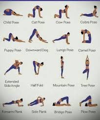 Check spelling or type a new query. Strength And Balance In 2020 Yoga Poses Photography Yoga Poses For Beginners Headstand Yoga