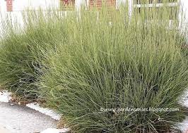 Pin On Garden