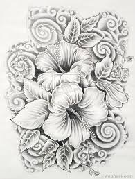 Learn how to draw flowers using simple line drawings. 45 Beautiful Flower Drawings And Realistic Color Pencil Drawings