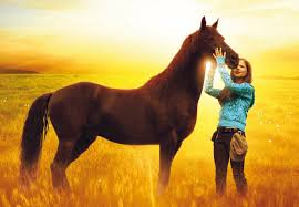 Top 10 Best Horse Movies Horse Movies Horses Show Horses