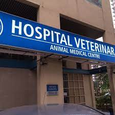 Our modern and inviting hospital boasts superb veterinarians and caring support staff. Animal Medical Centre Jalan Tun Razak Kl Veterinarian