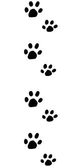 Human and bird feet cat dog paws black white flat vector. Animal Track Identification Guide Wildliferemoval Com