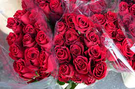 Got Roses For Valentine's? Other Flowers? Here Are Tips To Keep Them  Looking Great | Accuweather