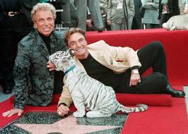 He and roy began crafting a magic act that would incorporate large animals disappearing and reappearing. Zjhduo0t7scnkm