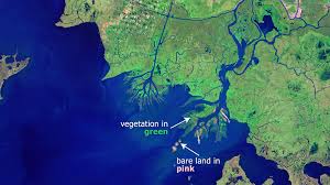 Jopling, alan v., and nathan baker, delta (landform). Delta Formation Atchafalaya Bay Deltas Pbs Learningmedia