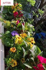This 200 Square Foot Apartment Has An Equally Super Tiny Balcony Tiny Balcony Patio Flowers Outdoor Deck Backyard