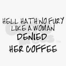 Pin On Resume Examples No Experience