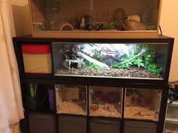 Ikea Hack Gerbil And Hamster Cage At The Bottom Python Vivarium At The Top Hamster Cage Vivarium Projects