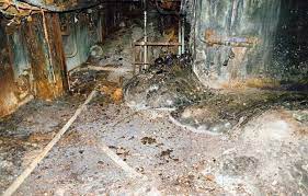 In april 1986, the world experienced its worst nuclear disaster yet when a reactor at the chernobyl power plant in pripyat, ukraine, erupted. What Has Been The Composition Of The Elephant S Foot Chernobyl Over The Last 30 Years Quora