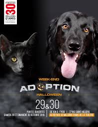 Depuis 2013, le refuge de l'angoumois bénéficie de l'opération doyens grâce à la fondation 30 millions d'amis. Fondation 30 Millions D Amis Pa Twitter Les Chats Et Les Chiens Noirs Du Refuge 30millionsdamis De La Tuilerie 77 Seront A L Honneur Ce Week End Adoptionresponsable Halloween Https T Co Amfl2x3hog