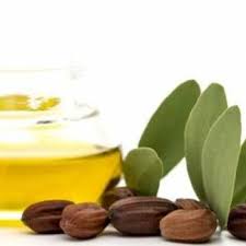 Jojoba Oil The Answer To Dry Hair Jojoba Oil Skin Jojoba Oil Oils For Skin