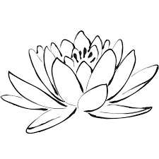 Black And White Lotus Flower Wall Art Brewster Wall Lotus Flower Wall Decal Flower Wall Art Flower Drawing Art Kit