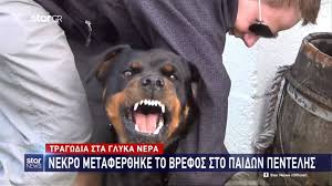 Ραγίζει καρδιές η τραγωδία με θύμα δυο μηνών κοριτσάκι στα γλυκά νερά. Tragwdia Sta Glyka Nera Sygklonizei H Kata8esh Toy Patera Toy Brefoys Den Katalabainw Ti Egine Newsbomb Eidhseis News