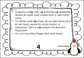 Cansu Adli Kullanicinin Hayvnlar Panosundaki Pin Penguen Okuma Evde Okul Oncesi