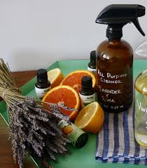 To create your own homemade insect soap spray, you only need two ingredients: Diy Homemade Cleaners