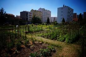 On est arrivés dans les jardins du ciel Jardins Partages A Lyon Ou Comment Faire Pousser Sa Tomate Au Pied Des Immeubles Rue89lyon