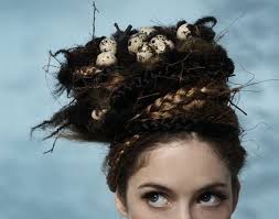 Bird With Crazy Hair On Head Vogelnest Kostum Selber Machen Halloween Haar Kostume Selber Machen Fantasiefrisur