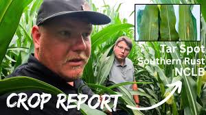 Starting a Dozer With a Pony Motor!