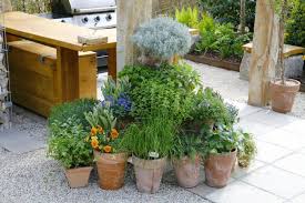 Terrasse Und Balkon Die Besten Tipps Im Juli Garten Gartentipps Pflanzen