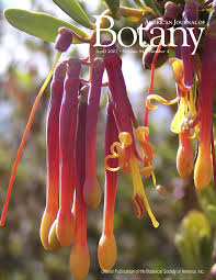 The sights of a city, views of mountains, lakes, valleys and the ruins of ancient buildings. American Journal Of Botany