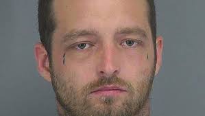 Greer man admits assaulting Good Samaritan