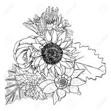 Io scelgo, uno ad uno, una serie di oggetti naturali. Vettoriale Fiori Bouquet Di Diversi Fiori Disegnati A Mano Vintage Bianco Nero E Isolato Puo Essere Utilizzato Come Invito Biglietto Di Auguri Stampa Vector Image 74302992