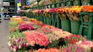 Wir bieten mehr als andere, und das zu günstigen preisen! Oranje Blumen P F Overdevest Gmbh Startseite Facebook