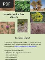 Image result for Dissotis ruandensis