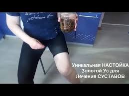как приготовить настойку из золотого уса для лечения суставов Sustavy Bolshe Ne Bolyat Lechenie Sustavov Helen Marynina Youtube