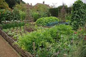 Pin By L Esthete On Au Jardin Kitchen Garden Potager Garden Dream Garden