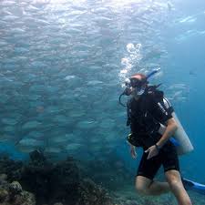 Find accommodations in kota kinabalu with the hotel list provided below. Padi Open Water Diver Course In Kota Kinabalu Sabah