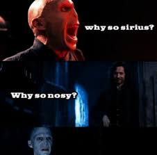 Harry Potter Cast Nyc Much Harry Potter Memes Gif Below Harry Potter Spells Order Of The Phoeni Harry Potter Voldemort Harry Potter Memes Harry Potter Broadway