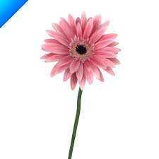 Pin On 3d Realtime Animation Moodboard