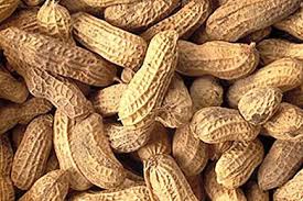 Un Timbre Epidermique Contre L Allergie A L Arachide La Presse