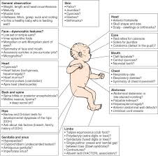 Image Result For Pulses In A Newborn Newborn Nursing